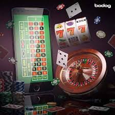 nova bet nova bet